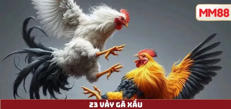 23 Vảy Gà Xấu – Giải Mã Quan Niệm Dân Gian & Cách Hiểu Đúng Cùng MM88 2 23 Vảy Gà Xấu